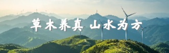百度