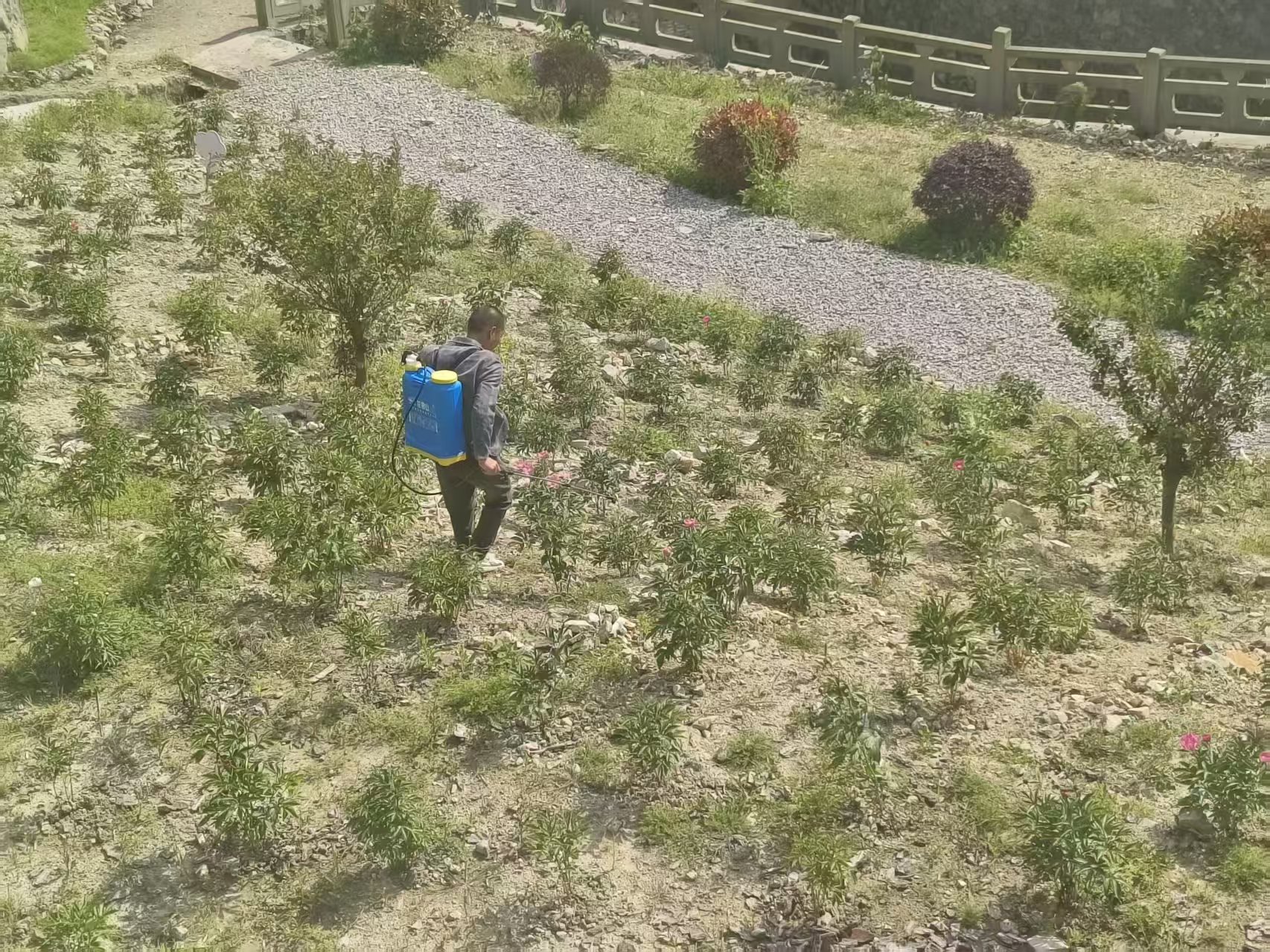 4.25