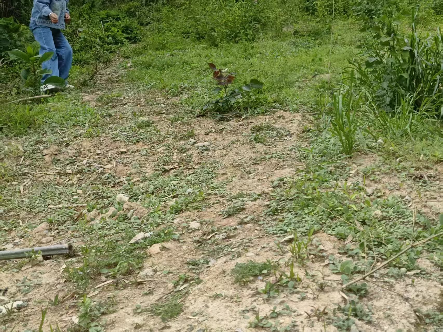 5.2